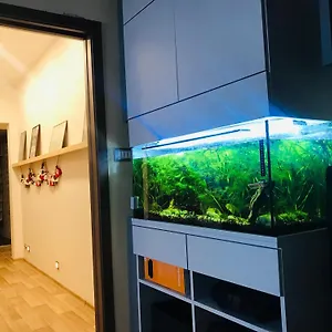 Novy V Ostrave U Misky S Akvariem A Vyhledem Z Balkonu Na Beskydy Ostrawa