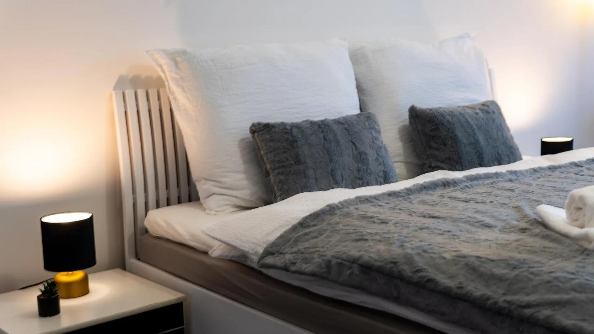 Bnb New Beautiful Apartment In The Center Of Ostrava With Option Garage Parking Czech Republic