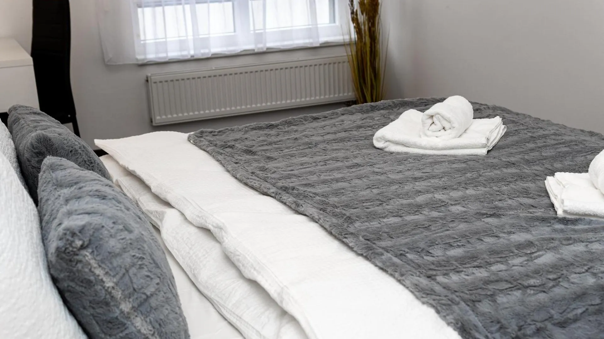 Bnb New Beautiful Apartment In The Center Of Ostrava With Option Garage Parking Czech Republic