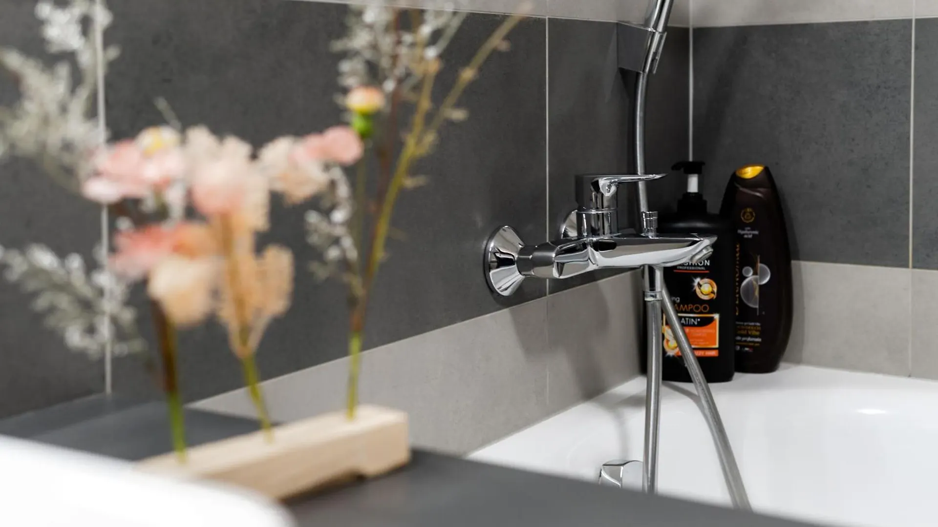 Bnb New Beautiful Apartment In The Center Of Ostrava With Option Garage Parking 0*,  Czech Republic